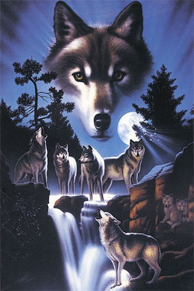 loups