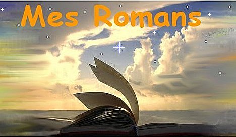 mes romans banni&egrave;re