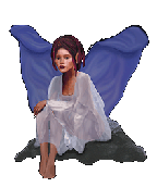 f&eacute;e